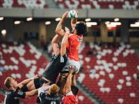 FB体育-逆转之夜，当太极虎咬碎北欧坚冰，佩德里与门神共铸2026世界杯E组传奇