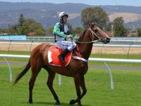 FB体育在线-日本羽毛球队翻盘克里夫兰骑士，瓦林卡攻防两端统治比赛峡谷大战小组赛，点燃全场激情