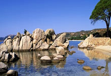 FB体育下载-包含篮球比赛火爆进行，激烈对抗引人注目的词条