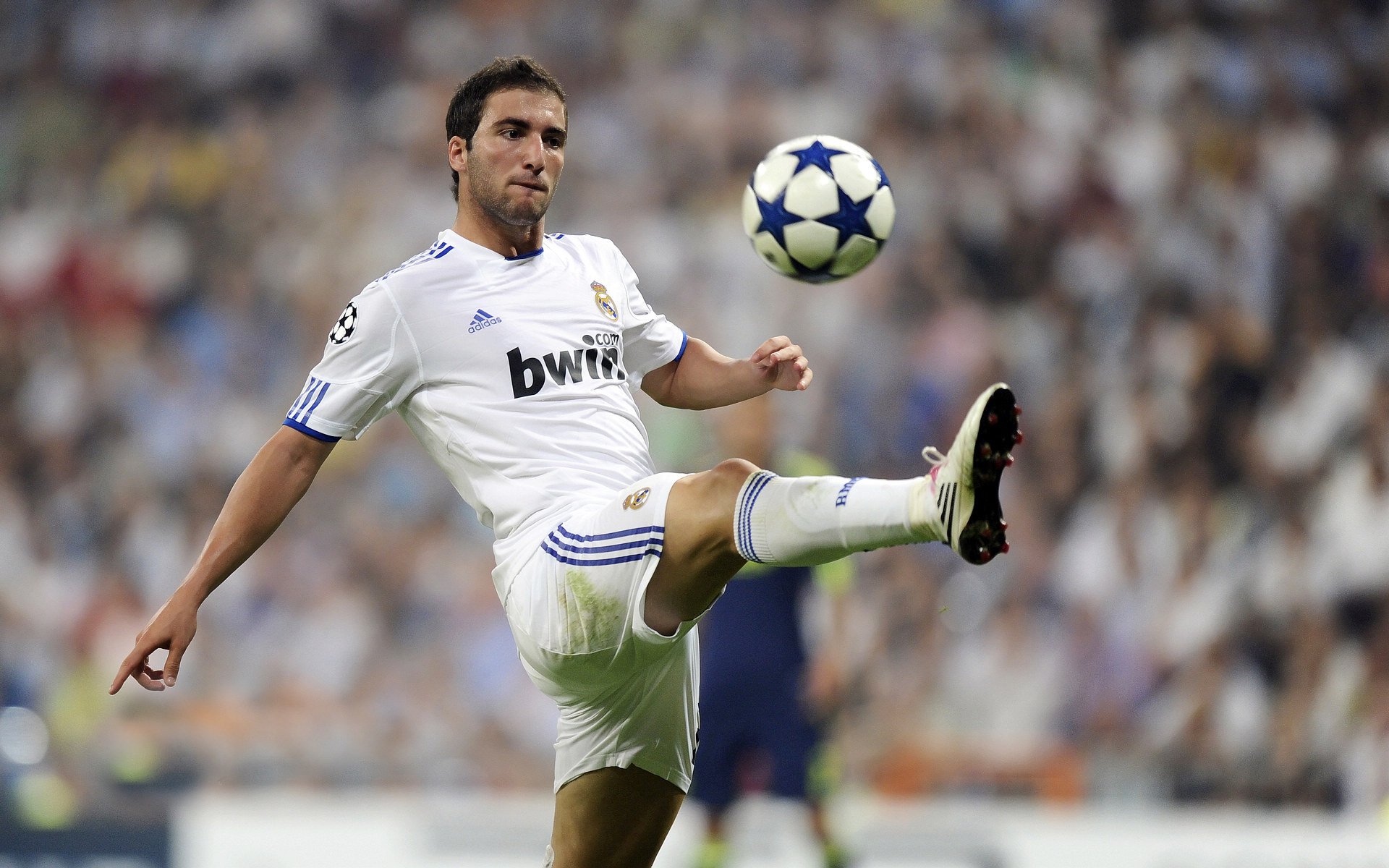 北非雄狮鏖战黄黑之墙，本泽马一剑点燃威斯特法伦